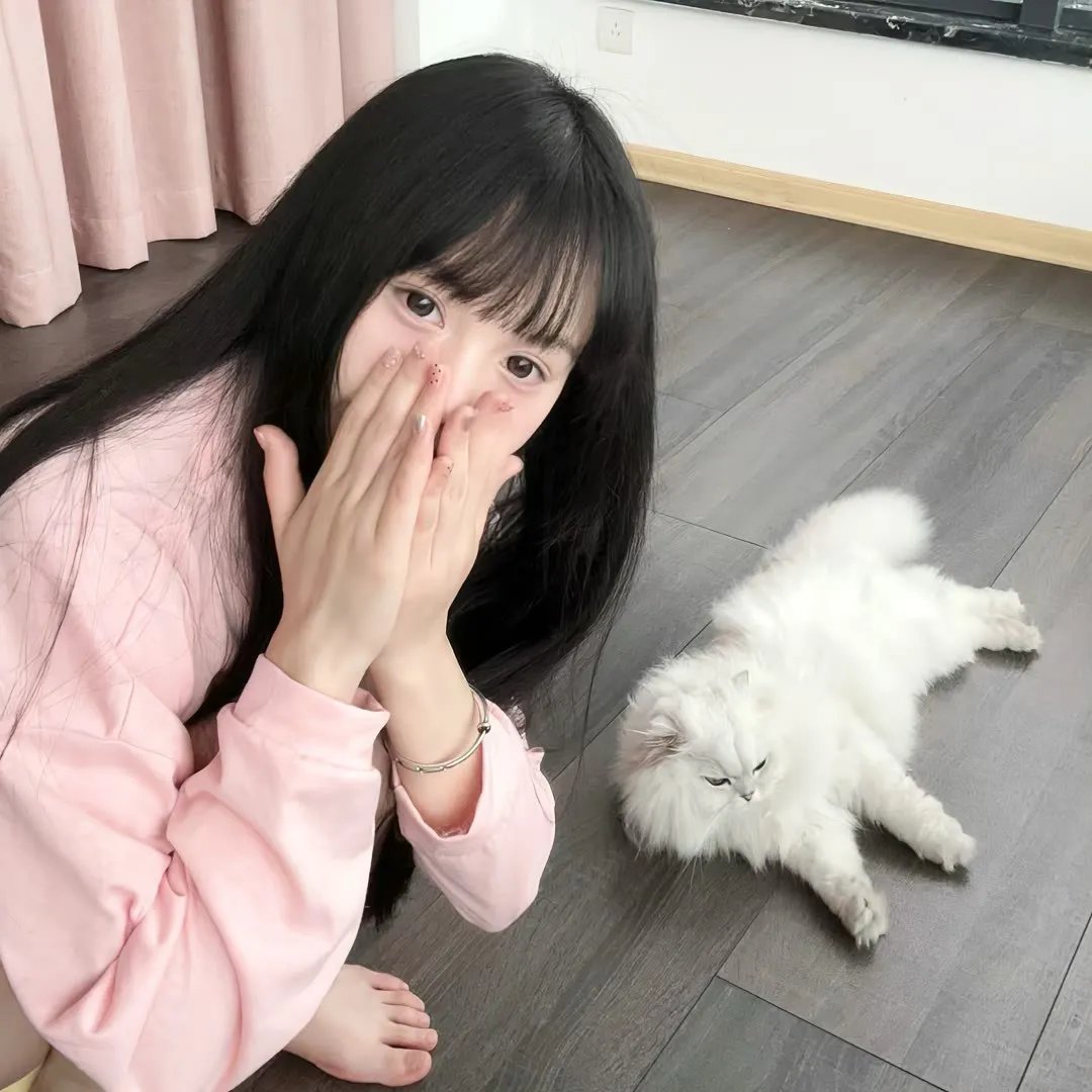 竞选风云